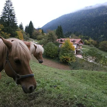 Ai Castioni Molveno
